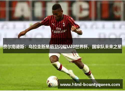 费尔南德斯：乌拉圭新星后卫闪耀U20世界杯，国家队未来之星