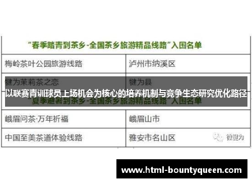 以联赛青训球员上场机会为核心的培养机制与竞争生态研究优化路径